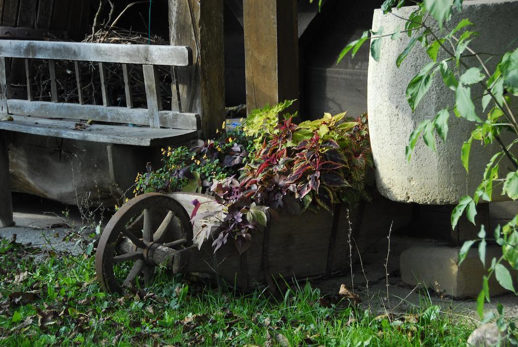 Guesthouse Novak Dvor Luaran gambar